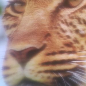 Meet your Posher, Derrick